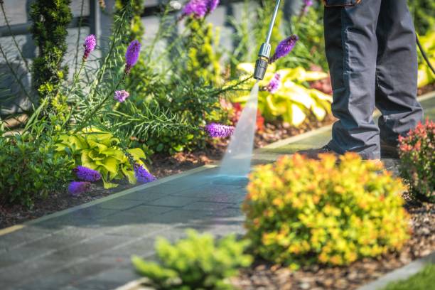 Reliable Florida Gulf Coast University, FL Pressure Washing Services Solutions